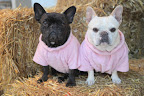 We are so glad that the barn animals have their winter hay!