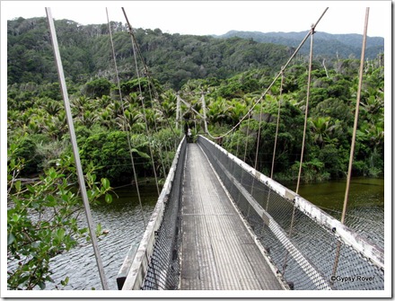 Swing bridge across the Kohaihai river on the Heaphy Track.