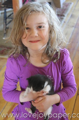 [IMG_3494%255B3%255D.jpg]