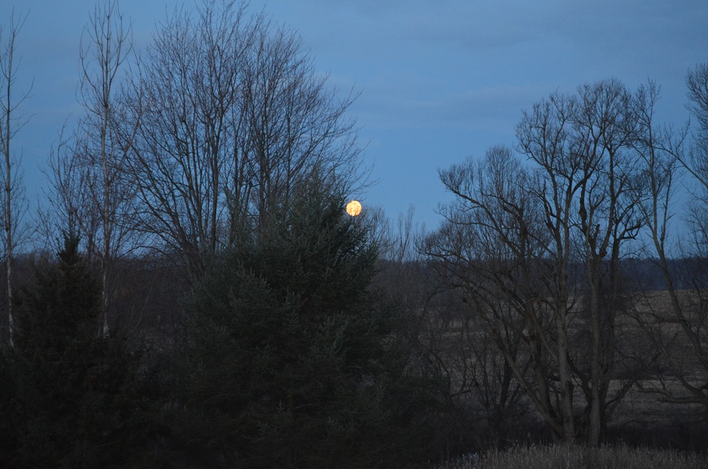 [DSC_0015%255B4%255D.jpg]