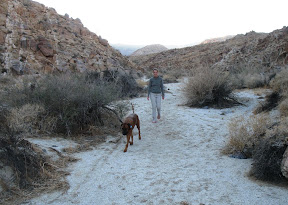 Mary and Diesel on a twilight hike.