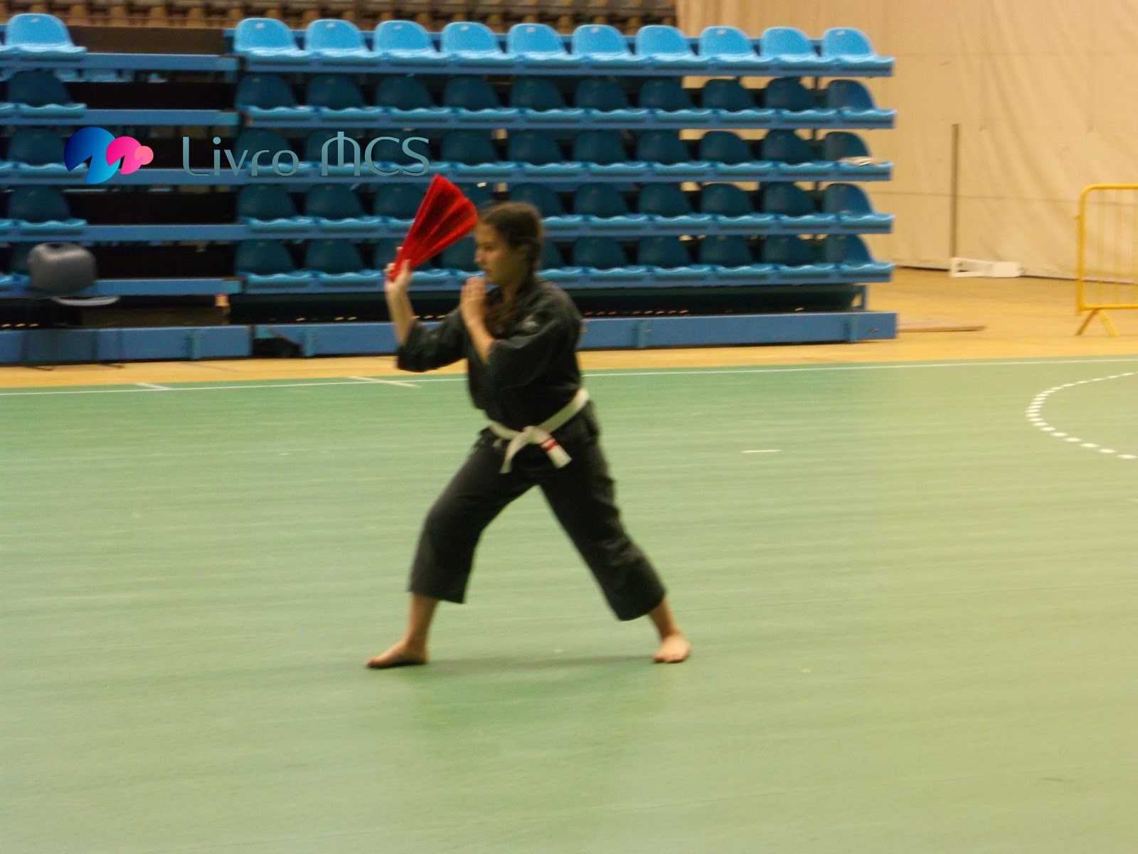 [Blog%2520Gazeta%2520de%2520Espinho005Livro%2520MCS%255B2%255D.jpg]