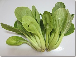 pac choi Shuko