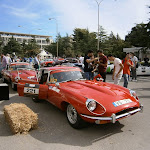 PA110226.JPG