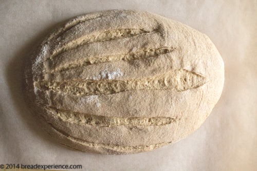 [sprouted-kamut-flour-bread-1-16%255B2%255D.jpg]