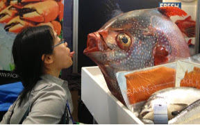 Staring eye-to-eye at an enormous (real, not fake!) fish at the Boston Seafood Show