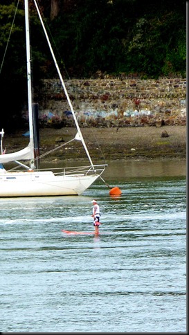 estuary 014