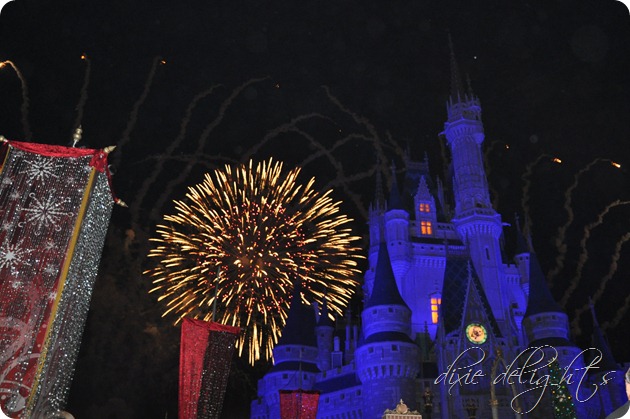 Disney December 2012 435 Disney December 2012 435