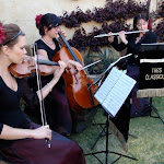 DSC01377.jpg