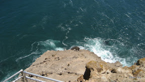 IMG_3714.jpg