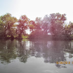 IMG_7805.JPG