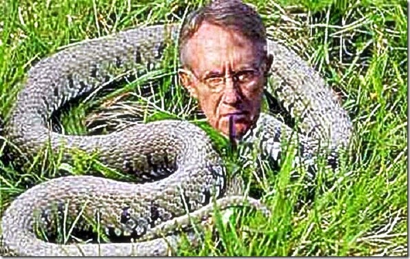 Harry Reid the Snake Harry Reid the Snake