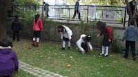 Meşe Palamutları topladık-24 Ekim 2011