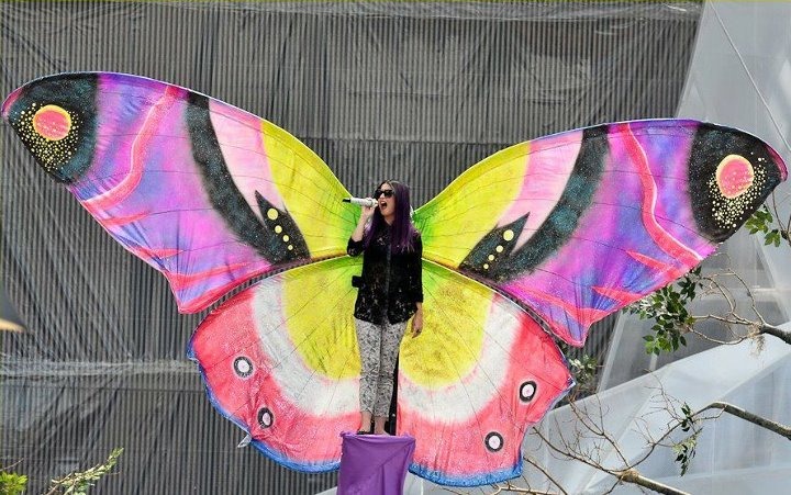 [556496_431844693522050_335862022_n5.jpg]