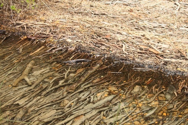 [IMG_3577%255B17%255D.jpg]