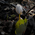 Spring%252520132