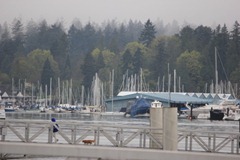 IMG_8436