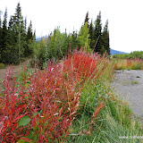 Estrada para o  Wrangell-St Elias NPP em Nabesna, Alaska, EUA