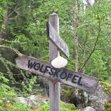 18.06.10 Wolfskofel - monte lupo