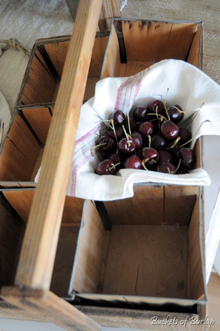 [berry%2520crate.jpg]