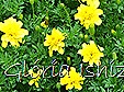 Glória Ishizaka -   Kyoto Botanical Garden 2012 - 90