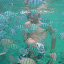 Thaïlande - Koh Tao