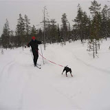 Trekkhundkurs - Trysil 18. - 21. februar 2010