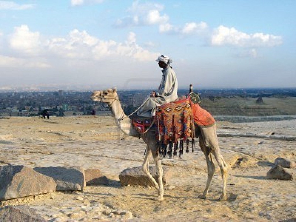 [7620613-riding-bedouin-camel-in-egyp%255B2%255D.jpg]