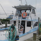 2009 Cruise