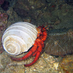 IMG_1701.JPG