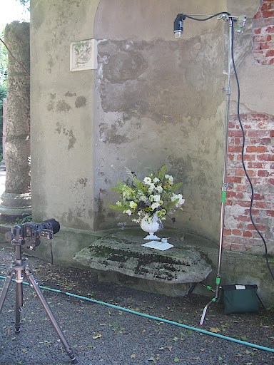 This arrangement would look great by your guest book or escort cards.