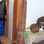 RIMG0012.JPG