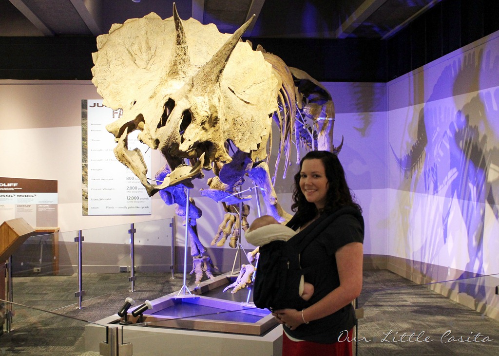[museumofscienceaug2012%255B4%255D.jpg]