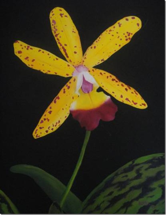 equilibriosobreamarillo equilibriosobreamarillo