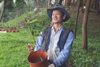 Lai Pei-yuan detto il re degli alberi a Taiwan
