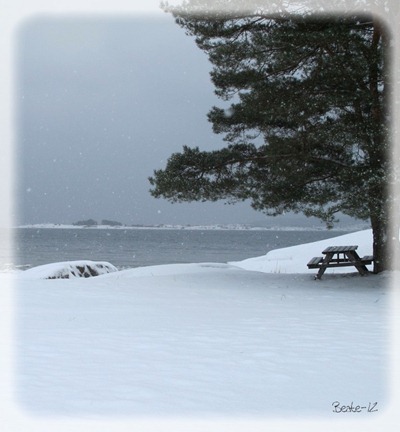 IMG_3906 IMG_3906