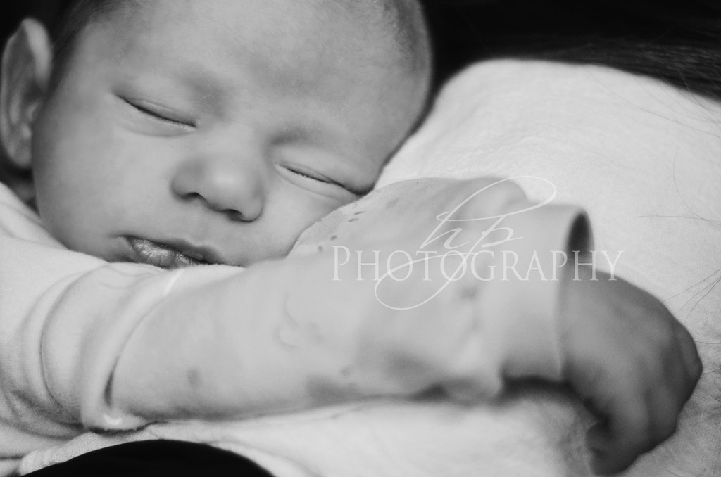 [HPP_4675bw5.jpg]