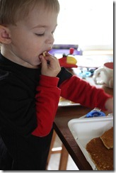 IMG_8850 IMG_8850