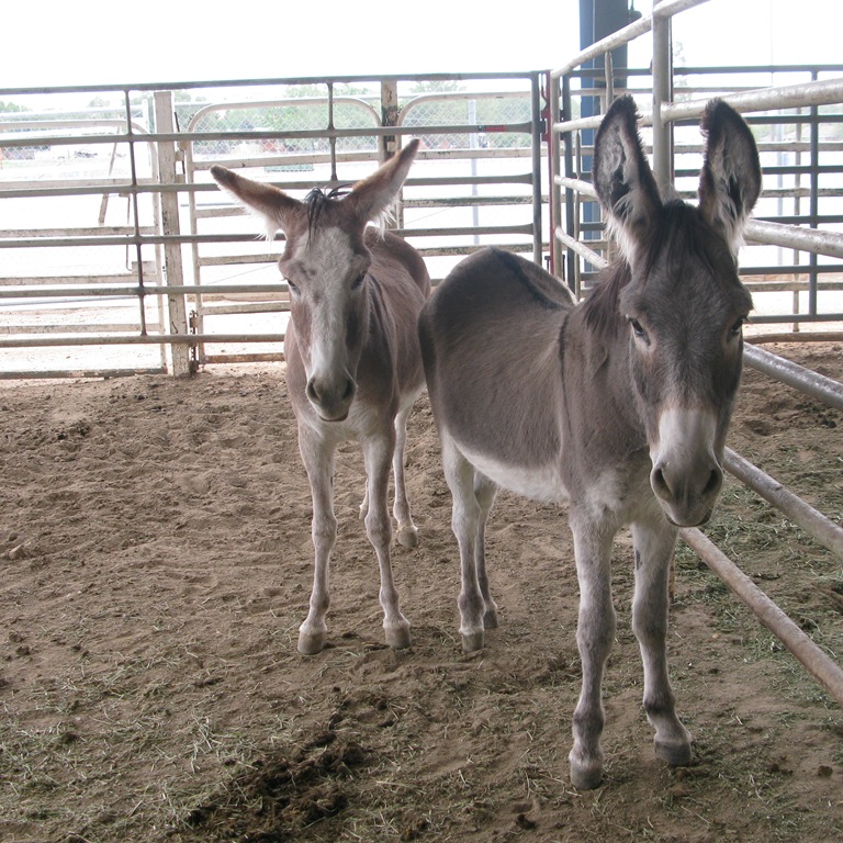 [jack%2520and%2520jill%2520sq.%255B3%255D.jpg]