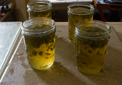 Pepper Jelly 4 Pepper Jelly 4