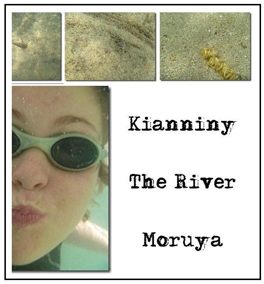 [underwater%2520photos%2520jan%25202012%255B3%255D.jpg]