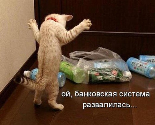 [51054653_1257962221_370679%255B3%255D.jpg]