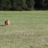 IMG_3647.JPG