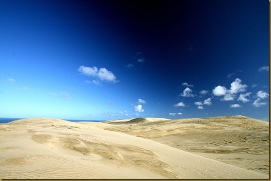 Sand dunes Te Paki