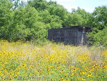 Mendoza Barn