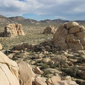 Click to View Joshua Tree National Park
