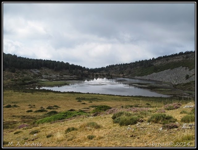 Vaca-soria 072 Vaca-soria 072