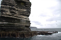 IMG_7111.CR2.jpg