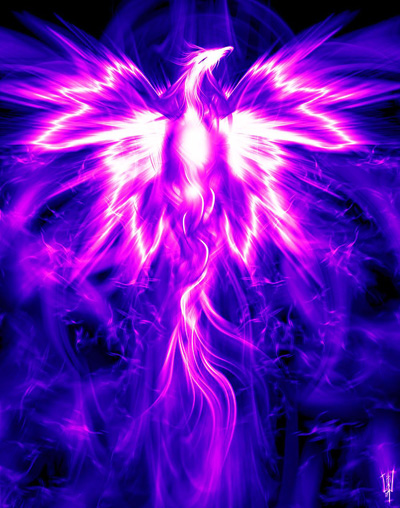 Fantasy Fire Phoenix, Mystery