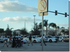 IMG_1509 IMG_1509